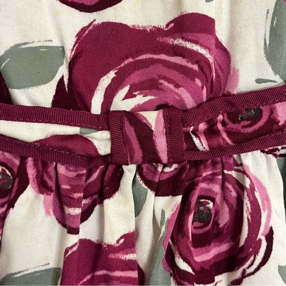 Girls Janie And Jack Rose Plum Floral Print Dress With Tulle Lining Size 3 - Picture 2 of 11